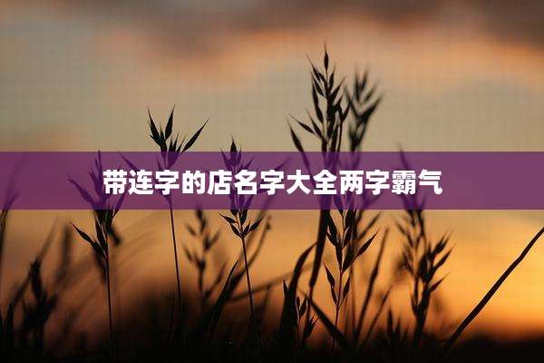 带连字的店名字大全两字霸气