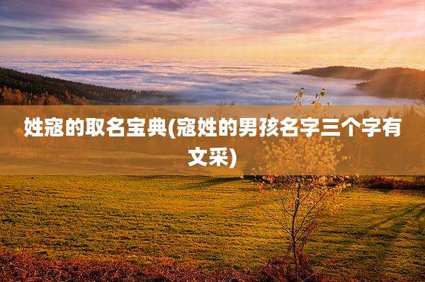姓寇的取名宝典(寇姓的男孩名字三个字有文采)