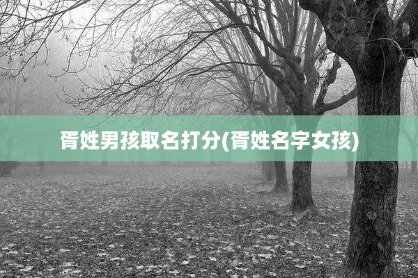 胥姓男孩取名打分(胥姓名字女孩)