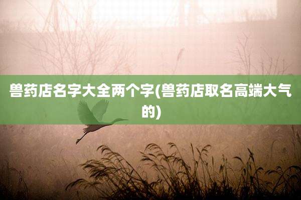 兽药店名字大全两个字(兽药店取名高端大气的)