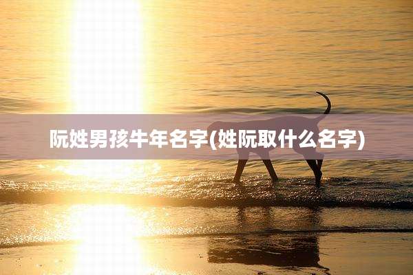 阮姓男孩牛年名字(姓阮取什么名字)