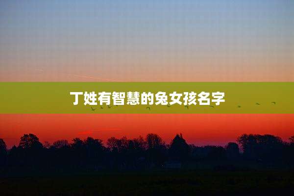 丁姓有智慧的兔女孩名字