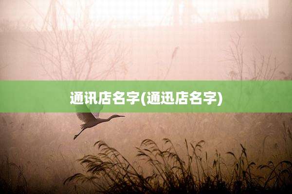 通讯店名字(通迅店名字)