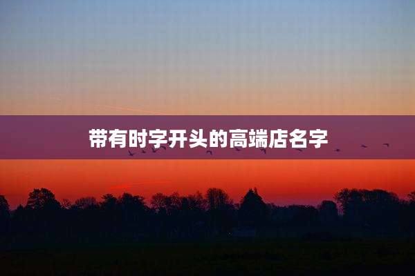 带有时字开头的高端店名字