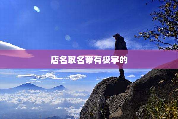 店名取名带有极字的