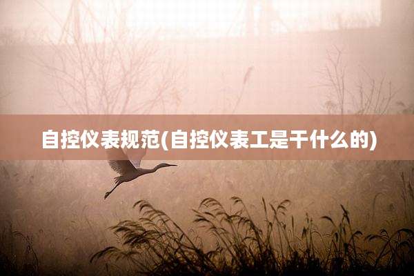 自控仪表规范(自控仪表工是干什么的)