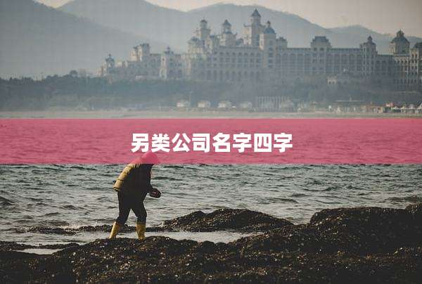 另类公司名字四字