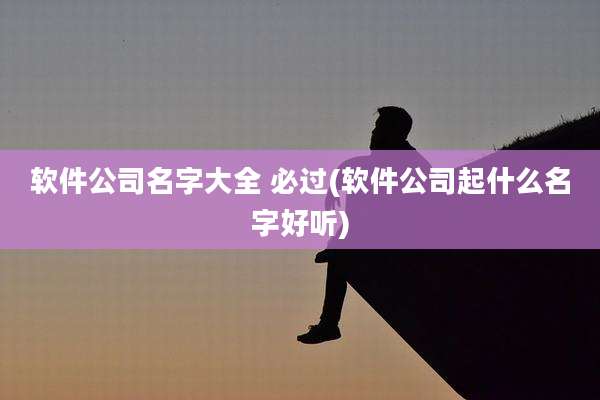 软件公司名字大全 必过(软件公司起什么名字好听)
