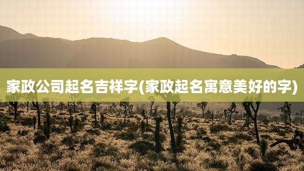 家政公司起名吉祥字(家政起名寓意美好的字)
