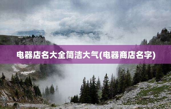 电器店名大全简洁大气(电器商店名字)
