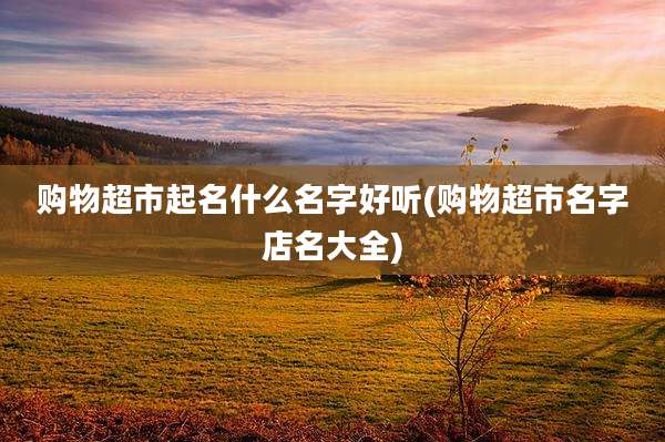 购物超市起名什么名字好听(购物超市名字店名大全)