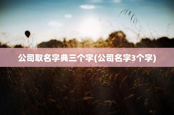 公司取名字典三个字(公司名字3个字)
