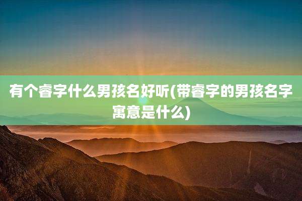 有个睿字什么男孩名好听(带睿字的男孩名字寓意是什么)