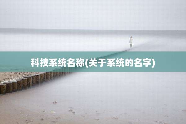 科技系统名称(关于系统的名字)