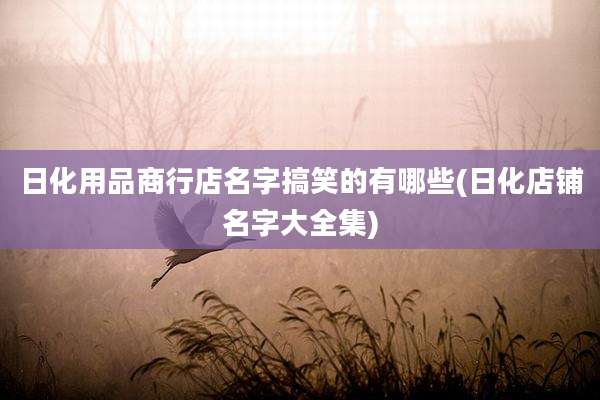 日化用品商行店名字搞笑的有哪些(日化店铺名字大全集)