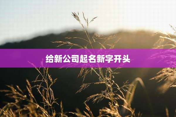给新公司起名新字开头