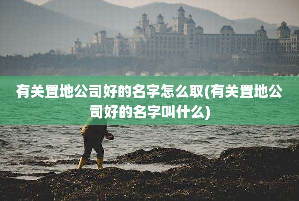 有关置地公司好的名字怎么取(有关置地公司好的名字叫什么)