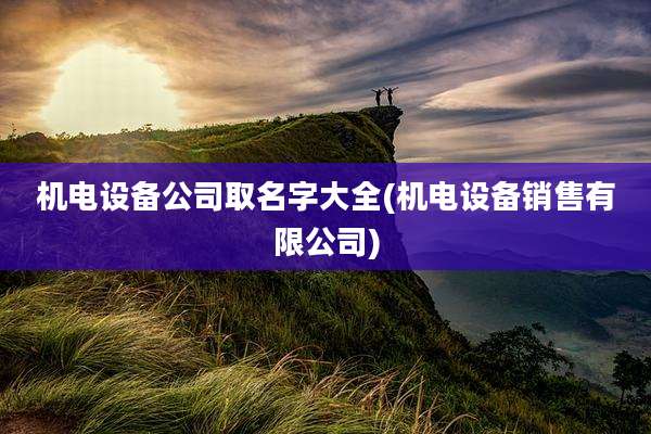 机电设备公司取名字大全(机电设备销售有限公司)
