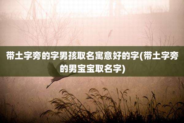 带土字旁的字男孩取名寓意好的字(带土字旁的男宝宝取名字)