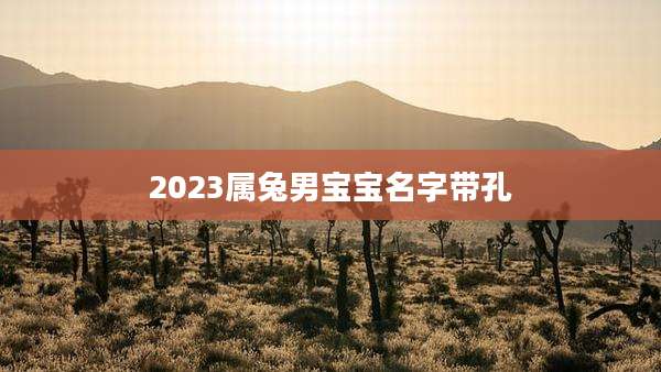 2023属兔男宝宝名字带孔