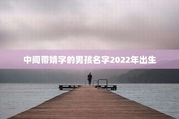中间带婧字的男孩名字2022年出生