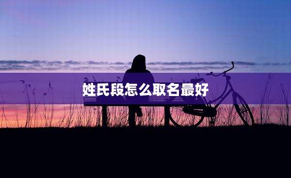 姓氏段怎么取名最好