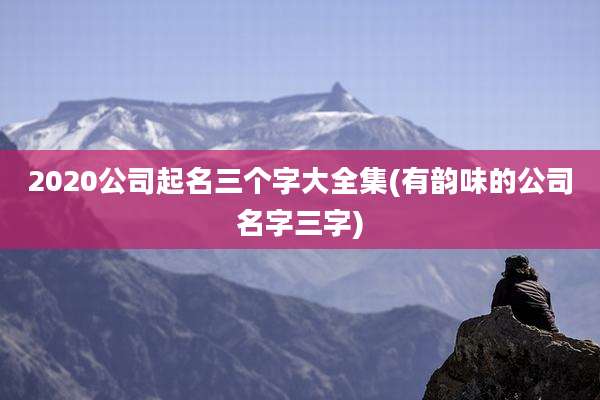 2020公司起名三个字大全集(有韵味的公司名字三字)