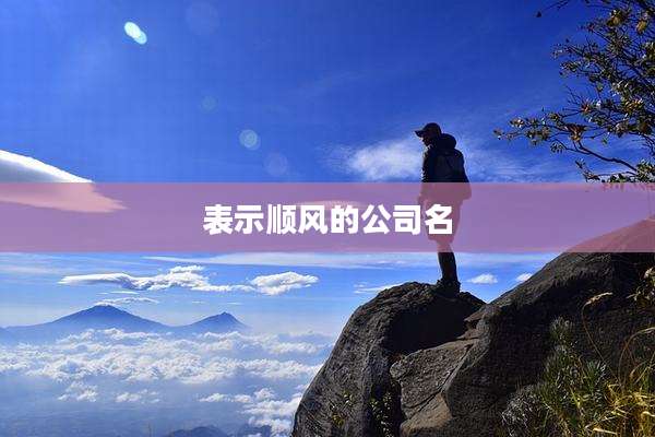 表示顺风的公司名