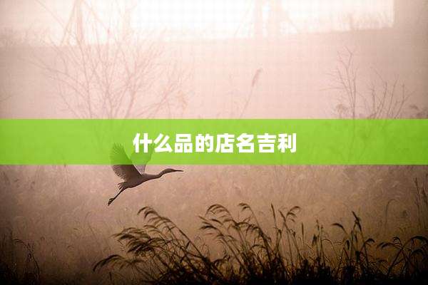 什么品的店名吉利
