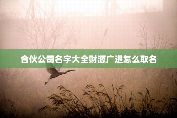合伙公司名字大全财源广进怎么取名