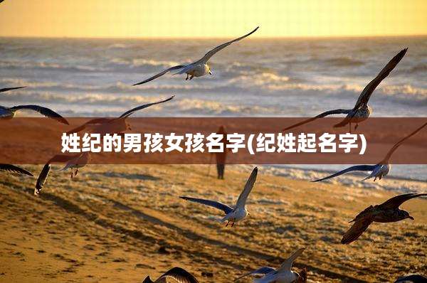 姓纪的男孩女孩名字(纪姓起名字)