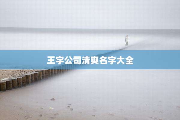 王字公司清爽名字大全