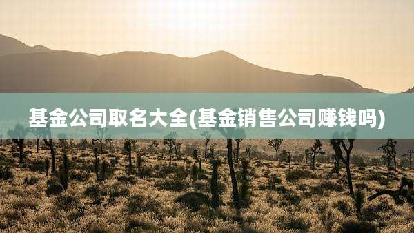 基金公司取名大全(基金销售公司赚钱吗)