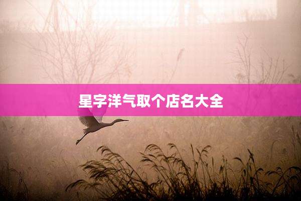 星字洋气取个店名大全