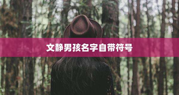 文静男孩名字自带符号