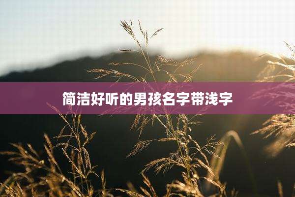 简洁好听的男孩名字带浅字