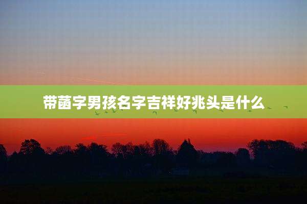 带菡字男孩名字吉祥好兆头是什么
