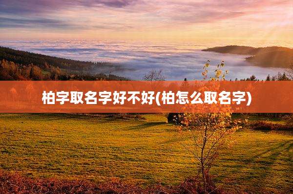 柏字取名字好不好(柏怎么取名字)