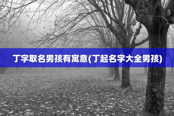 丁字取名男孩有寓意(丁起名字大全男孩)