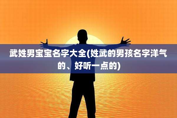 武姓男宝宝名字大全(姓武的男孩名字洋气的、好听一点的)