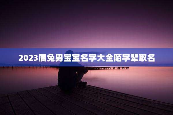 2023属兔男宝宝名字大全陌字辈取名
