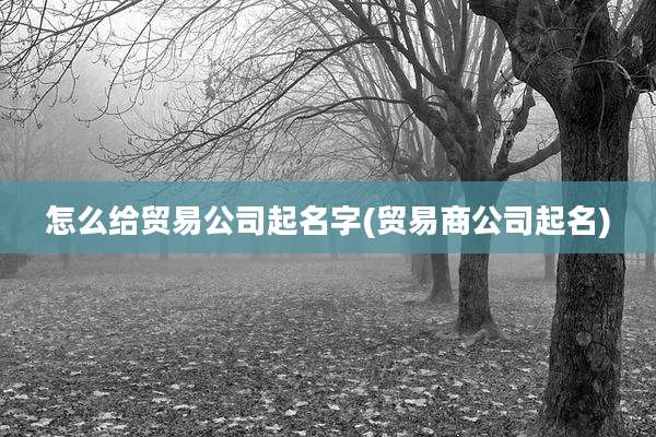 怎么给贸易公司起名字(贸易商公司起名)