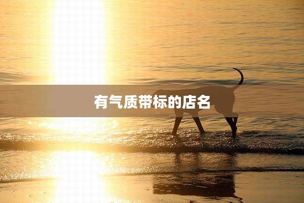 有气质带标的店名