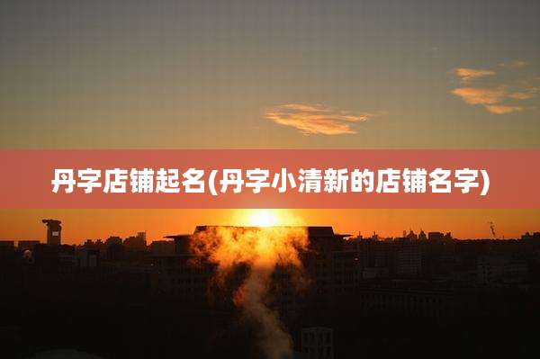 丹字店铺起名(丹字小清新的店铺名字)