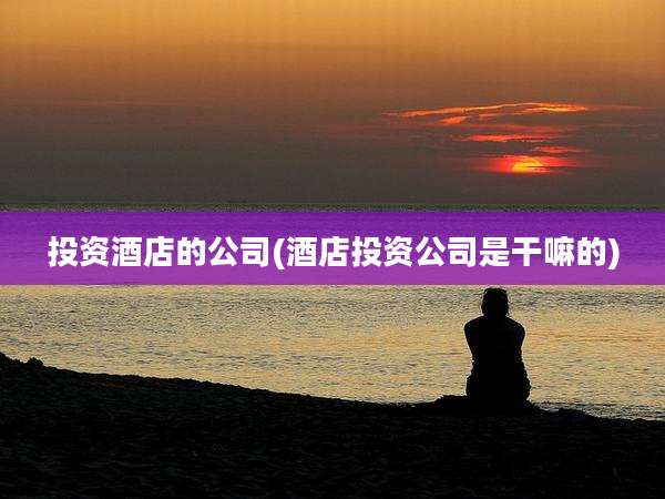 投资酒店的公司(酒店投资公司是干嘛的)