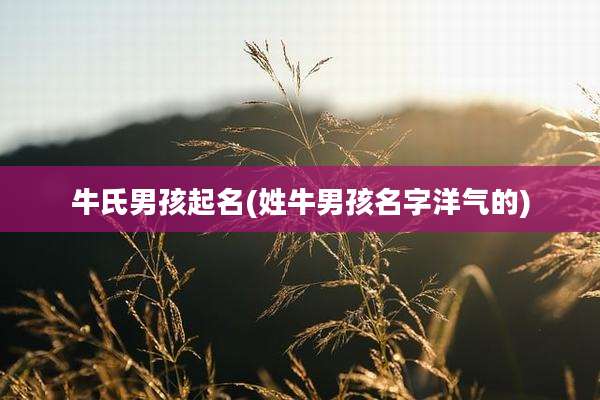 牛氏男孩起名(姓牛男孩名字洋气的)