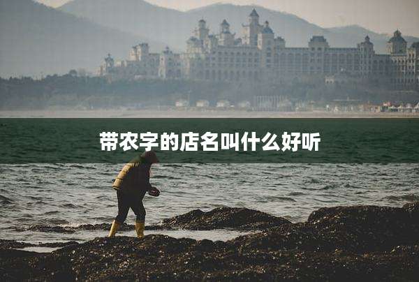 带农字的店名叫什么好听