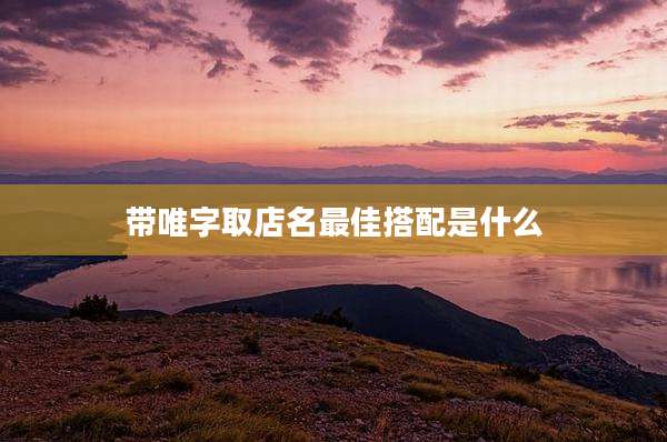 带唯字取店名最佳搭配是什么