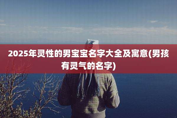 2025年灵性的男宝宝名字大全及寓意(男孩有灵气的名字)