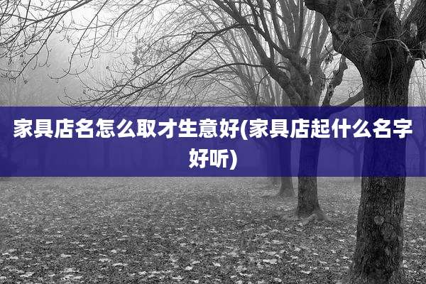 家具店名怎么取才生意好(家具店起什么名字好听)